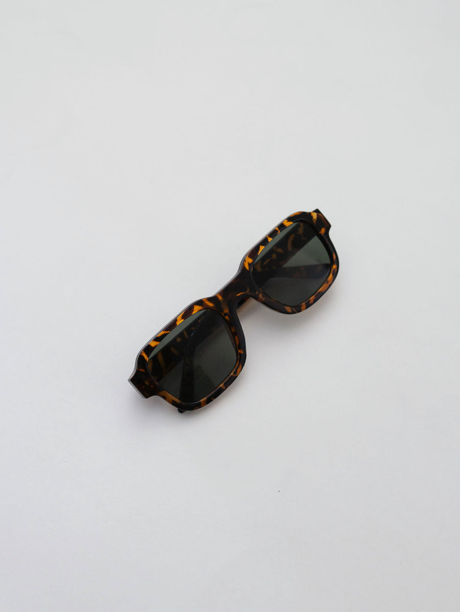 Shop Grey Tones - Brylin Sunnies Tortoise